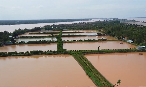 Phòng chống mặn xâm nhập tại ĐBSCL: Chủ động, không chủ quan (21/02/2023)